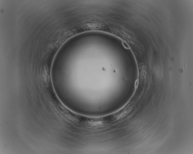 X0000077380651200611031937