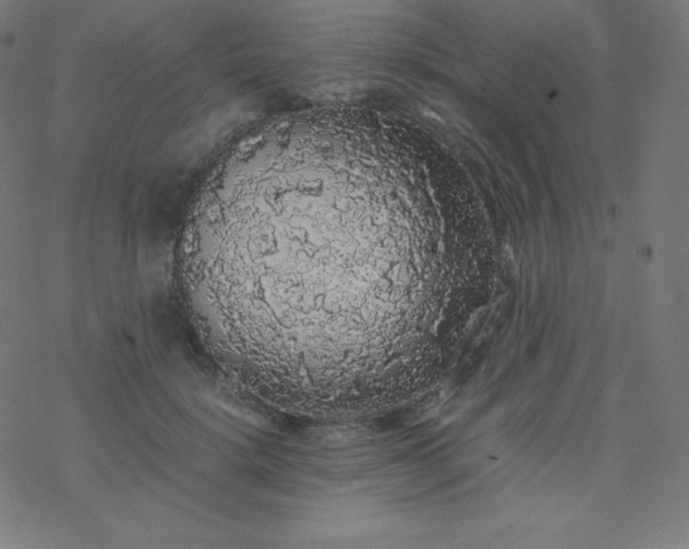 X0000077380652200611031937