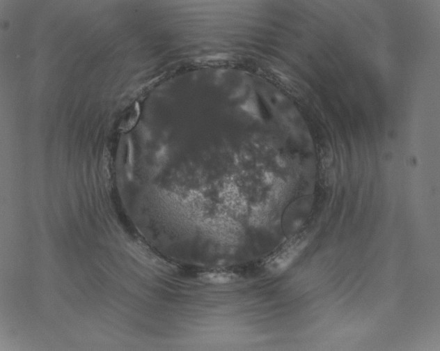 X0000077380654200611031937