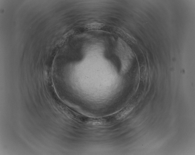 X0000077380655200611031937