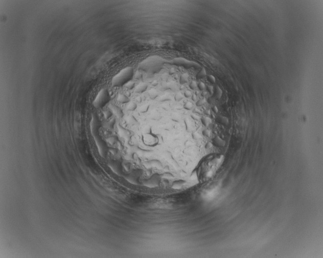 X0000077380656200611031938