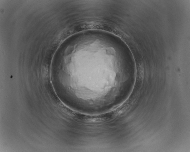 X0000077380657200611031938