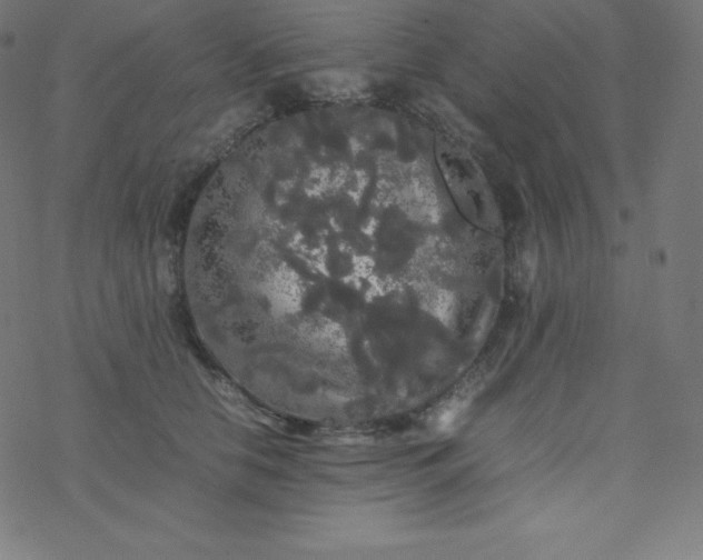 X0000077380658200611031938