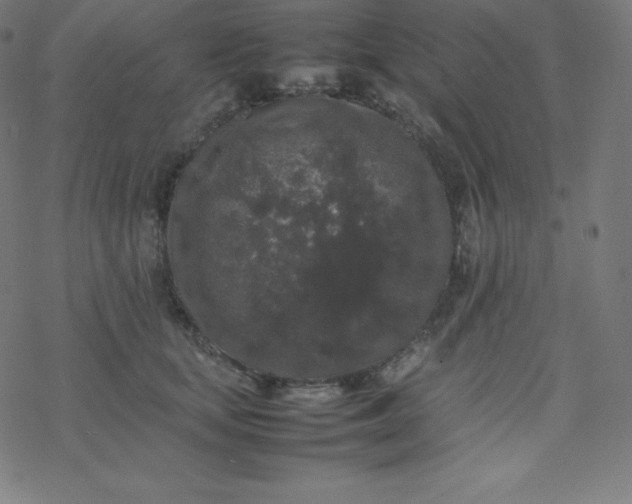 X0000077380659200611031938