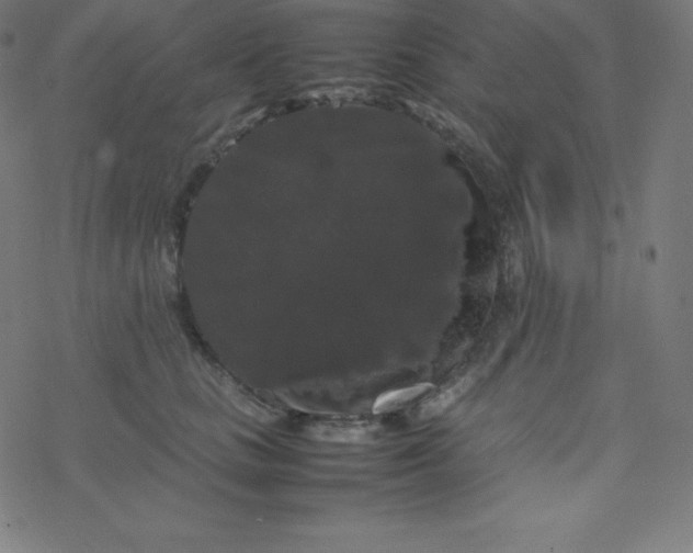 X0000077380661200611031938