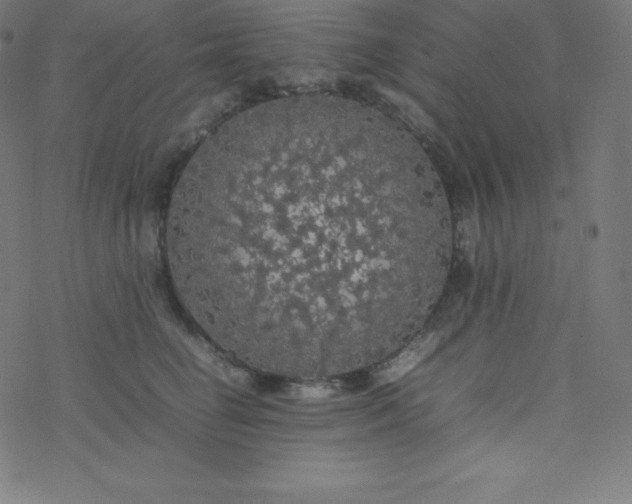 X0000077380662200611031938