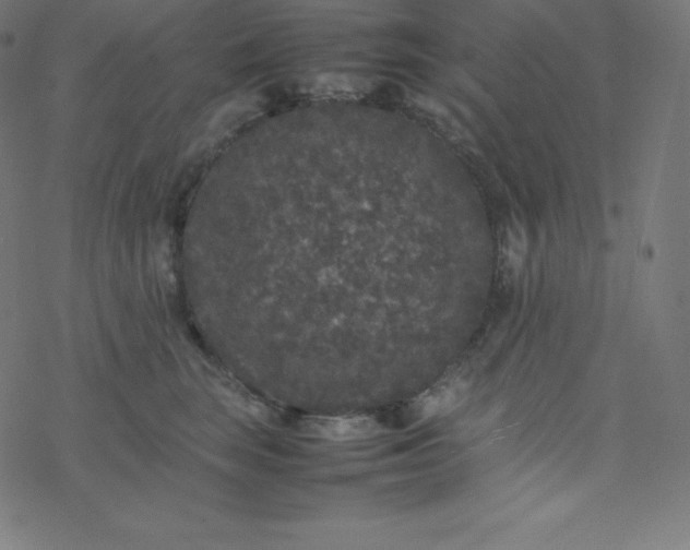 X0000077380663200611031938