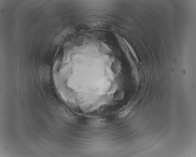 X0000077380664200611031938