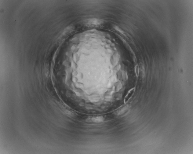 X0000077380665200611031938