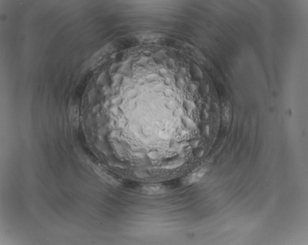 X0000077380666200611031938