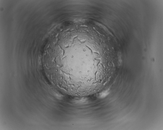 X0000077380667200611031938