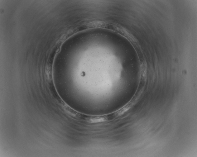 X0000077380669200611031938