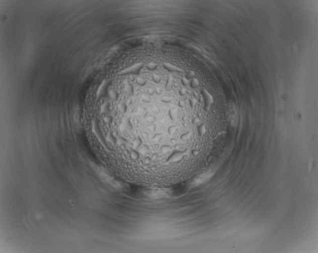 X0000077380670200611031938