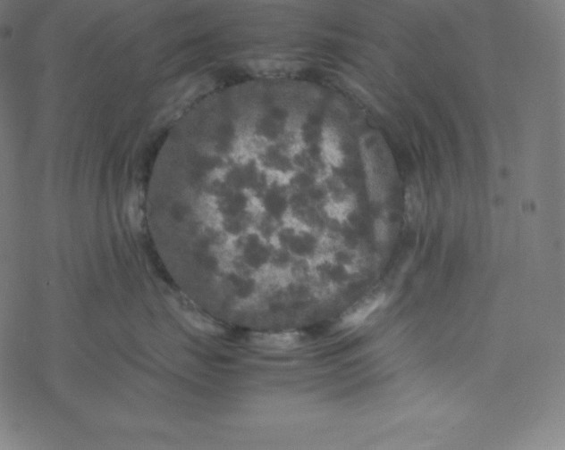 X0000077380671200611031938