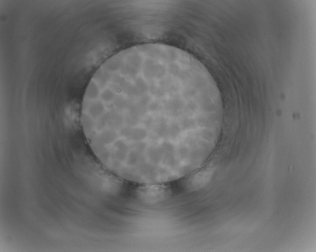 X0000077380672200611031938