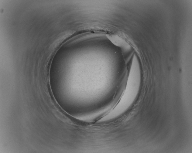 X0000077380673200611031937