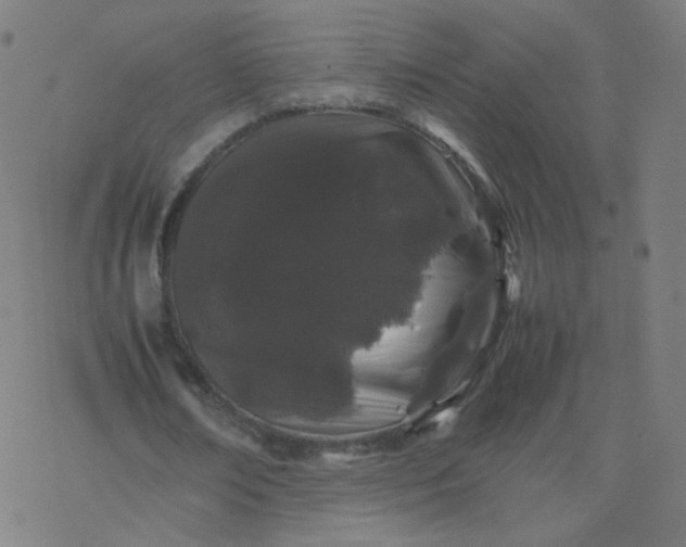 X0000077380674200611031937