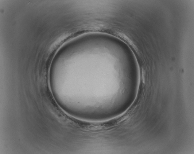 X0000077380675200611031937