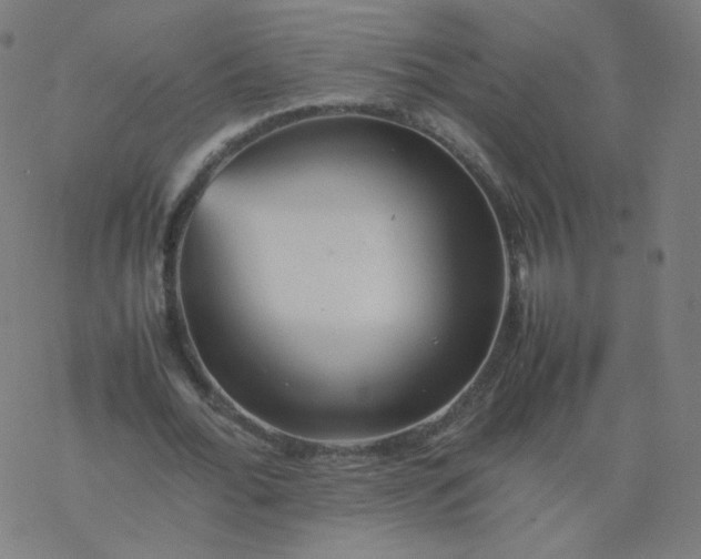 X0000077380676200611031937