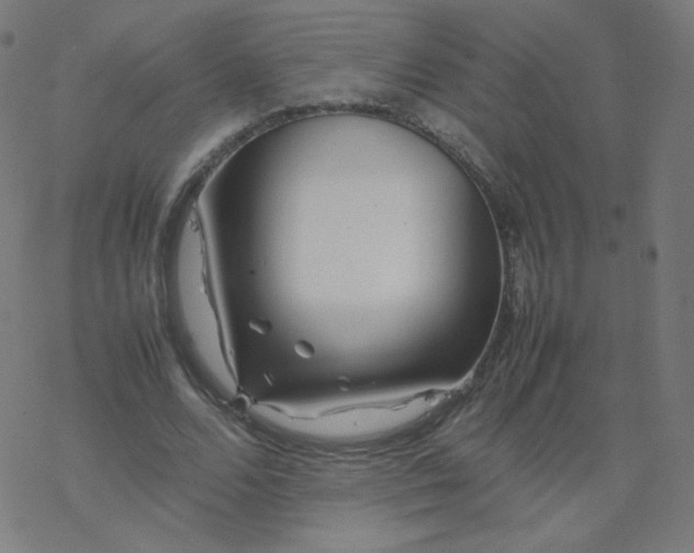 X0000077380680200611031937