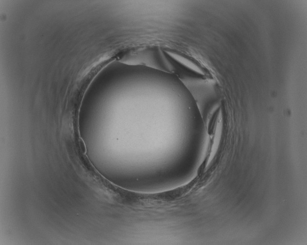 X0000077380681200611031937