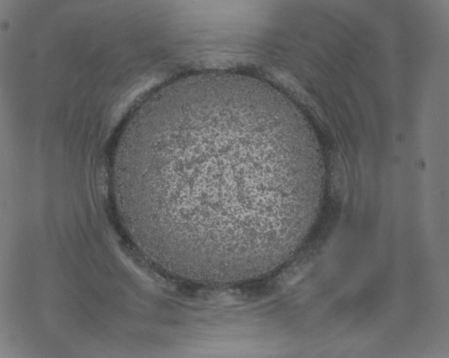 X0000077380683200611031937