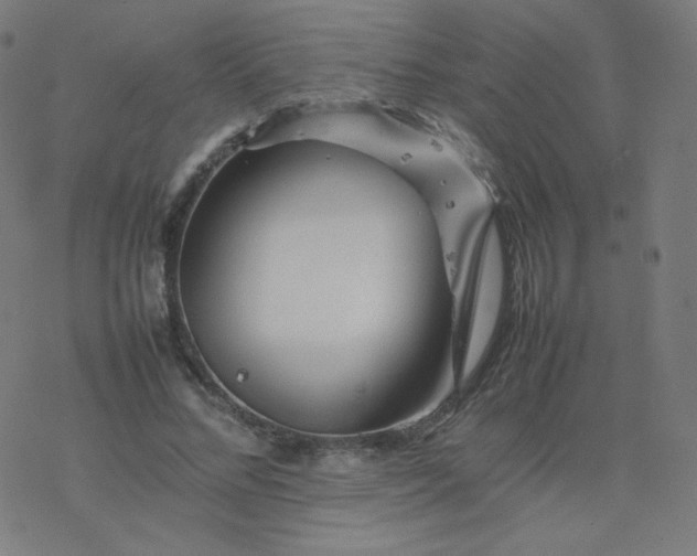 X0000077380684200611031937