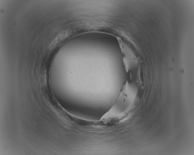 X0000077380685200611031937