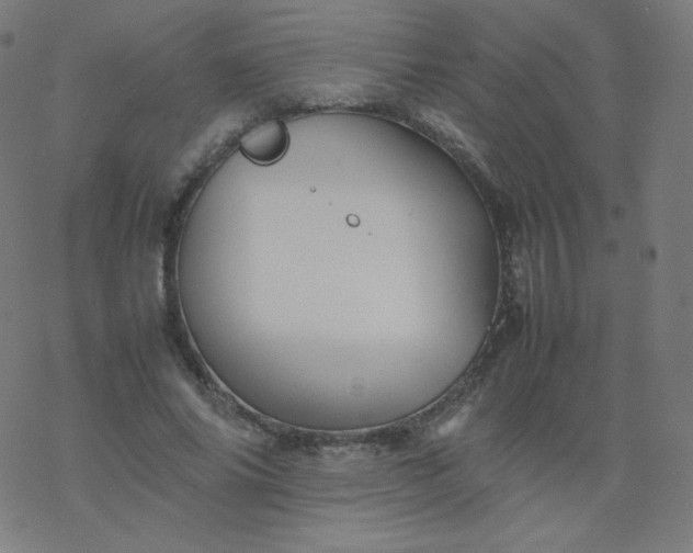 X0000077380686200611031937