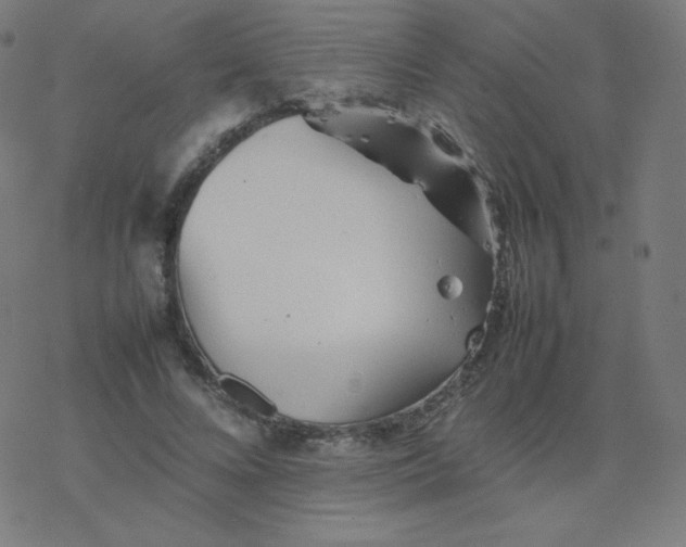 X0000077380688200611031937