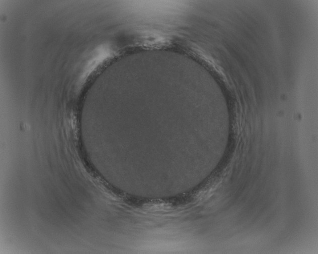 X0000077380689200611031937