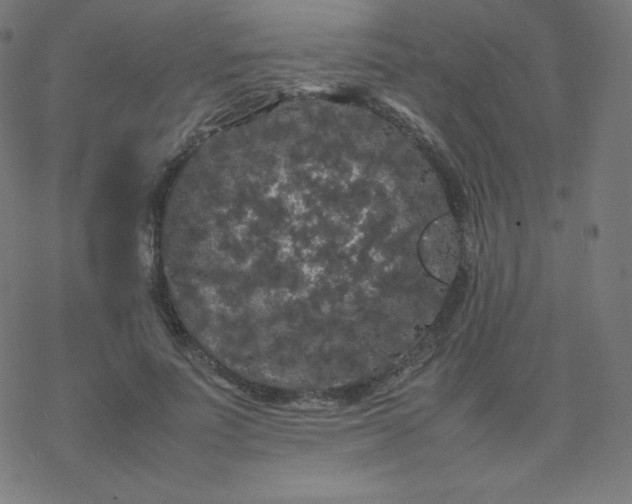 X0000077380691200611031937