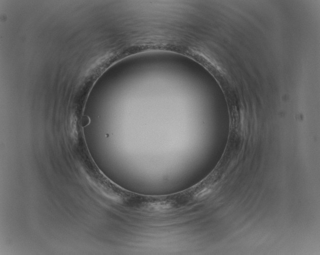 X0000077380692200611031937