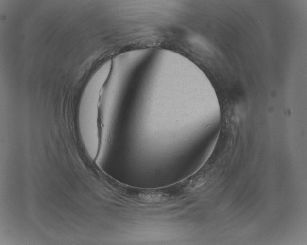 X0000077380693200611031937