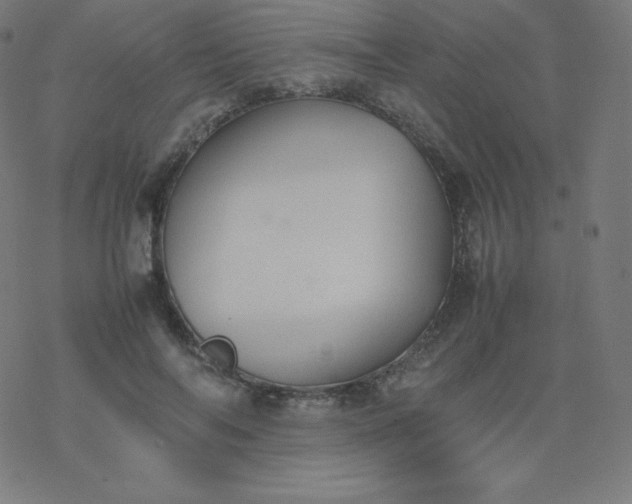 X0000077380694200611031937