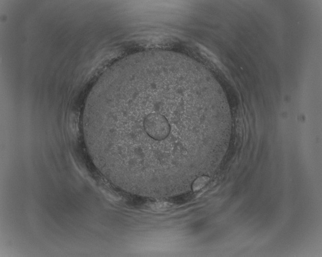 X0000077380695200611031937