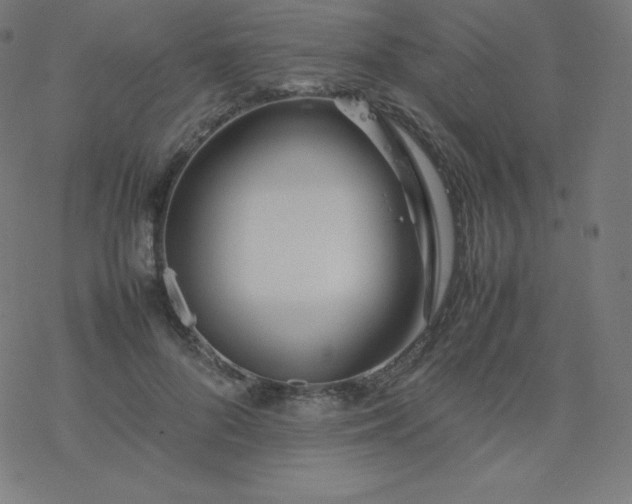 X0000077380696200611031937