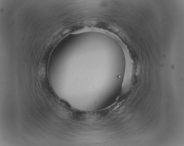 X0000077380697200611031937