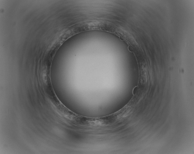 X0000077380698200611031937