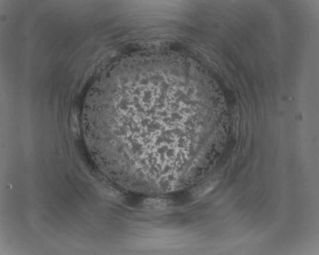 X0000077380699200611031937