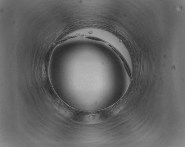 X0000077380700200611031937