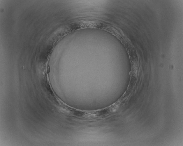 X0000077380701200611031937