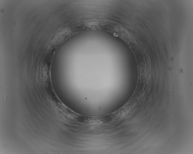 X0000077380702200611031937