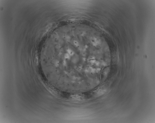 X0000077380703200611031937