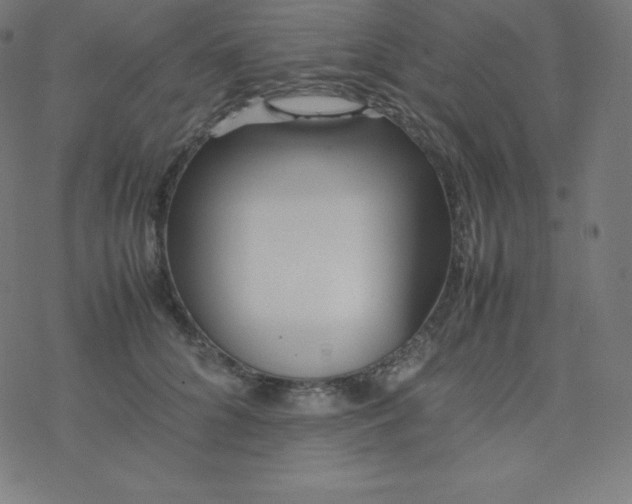 X0000077380704200611031936