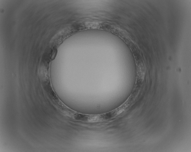 X0000077380705200611031936