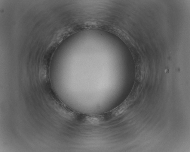 X0000077380706200611031936