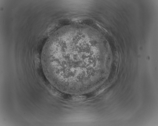 X0000077380707200611031936