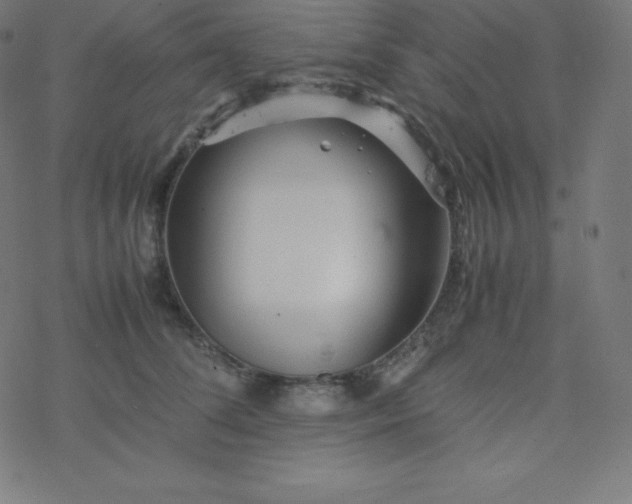 X0000077380708200611031936