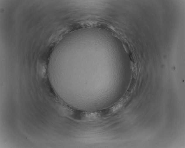 X0000077380709200611031936